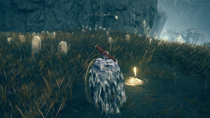 After crossing the portal leading to the Land of Shadow, your character will end up in the open space of the Gravesite Plain - Shadow of the Erdtree: Where to go first? - Shadow of the Erdtree: FAQ - Elden Ring Guide