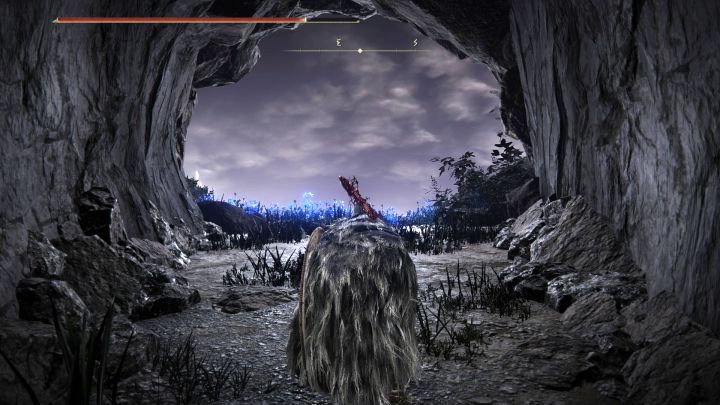 5 - Shadow of the Erdtree: How to reach the southern island on the Cerulean Coast? - Shadow of the Erdtree: Secret locations - Elden Ring Guide