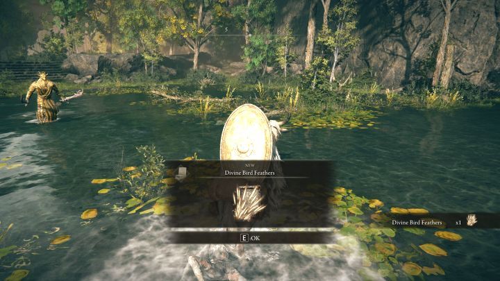 Requirements - Shadow of the Erdtree: All new spells and incantations - Shadow of the Erdtree: Basics - Elden Ring Guide