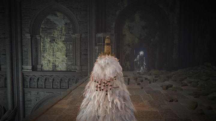 Before attempting to find Fire Knight Queelign, make sure you have any Iris, as it will be required to complete the quest - Shadow of the Erdtree: Fire Knight Queelign quest walkthrough - Shadow of the Erdtree: Quests - Elden Ring Guide