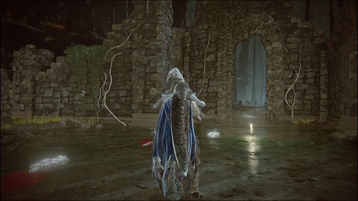 This is the first Site of Grace you will find in the Abyssal Woods - Shadow of the Erdtree: All Sites of Grace in minor regions map - Shadow of the Erdtree: Secrets and Collectibles - Elden Ring Guide