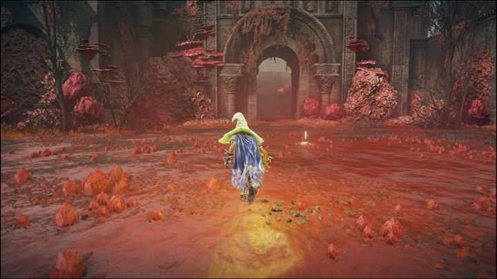 This Site of Grace is located in the boss arena of Romina, Saint of the Bud - Shadow of the Erdtree: All Sites of Grace in minor regions map - Shadow of the Erdtree: Secrets and Collectibles - Elden Ring Guide