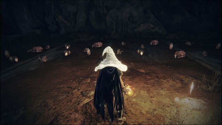 The Site of Grace is located before the Putrescent Knight boss arena - Shadow of the Erdtree: All Sites of Grace in minor regions map - Shadow of the Erdtree: Secrets and Collectibles - Elden Ring Guide