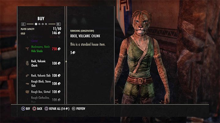 By default, the houses you buy have no furniture and this means that you have to obtain them separately - ESO: Own house, property - how to buy? - Game guide - The Elder Scrolls Online Guide