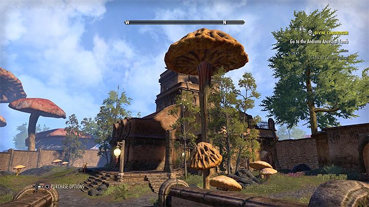 Some of TESOs game progress and events are much slower than in Skyrim - ESO: TESO and Skyrim - similarities - Starting the game - The Elder Scrolls Online Guide