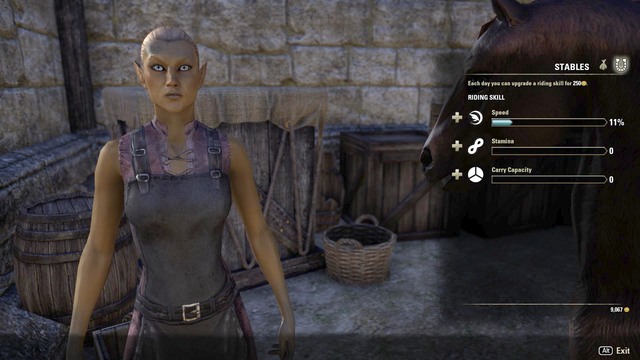 The process of upgrading the steed - ESO: Transportation - ESO in 10 Easy Steps - The Elder Scrolls Online Guide