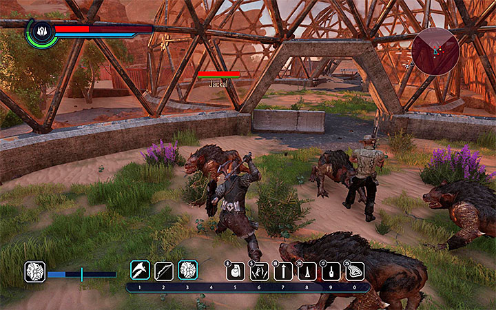 Join the fight with the jackals in Rider’s greenhouse - Elex: Minor quests in Tavar - Walkthrough - Tavar - Elex Game Guide
