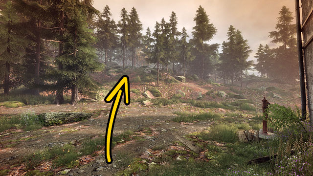 Walk onto the path to the Carters house- behind the house, walk into the meadow on the hill - The witchs forest | Walkthrough - Walkthrough - The Vanishing of Ethan Carter Game Guide & Walkthrough