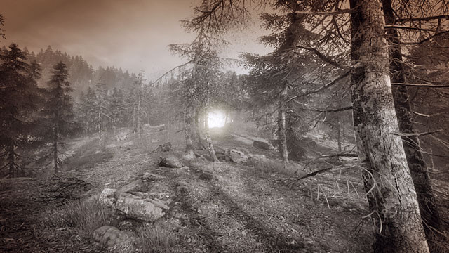 You will hear a womans voice - The witchs forest | Walkthrough - Walkthrough - The Vanishing of Ethan Carter Game Guide & Walkthrough