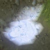 8 - Materials - Landmark - Game Guide and Walkthrough