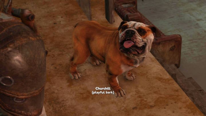 In the game you won't find a distinct animation for petting a dog - Fallout London: How to adopt Churchill? - Fallout: London: Factions and companions - Fallout London Guide