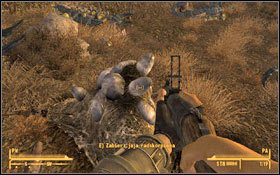 Your next target is to collect Radscorpions eggs - Bleed Me Dry - Side quests - Fallout: New Vegas - Game Guide and Walkthrough