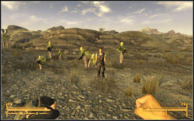 3 - Birds of a Feather - Side quests - Fallout: New Vegas - Game Guide and Walkthrough