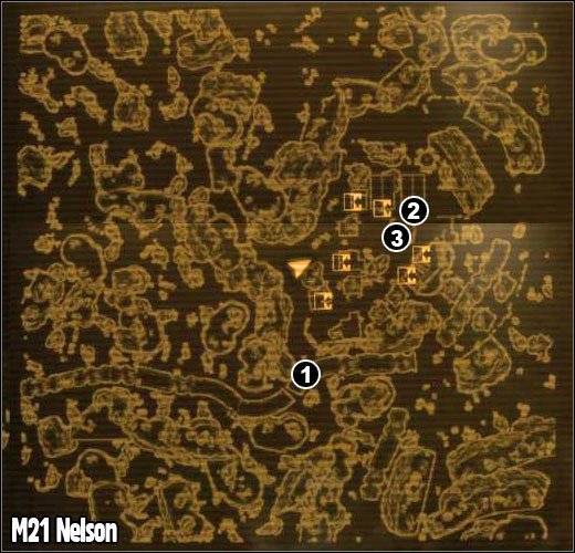 M21 - Nelson | Maps - Fallout: New Vegas Game Guide | gamepressure.com