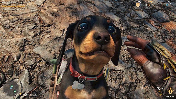 You'll encounter many dogs while playing through Far Cry 6 and you can befriend some of them - Far Cry 6: Killing dogs - is it mandatory? - FAQ - Far Cry 6 Guide