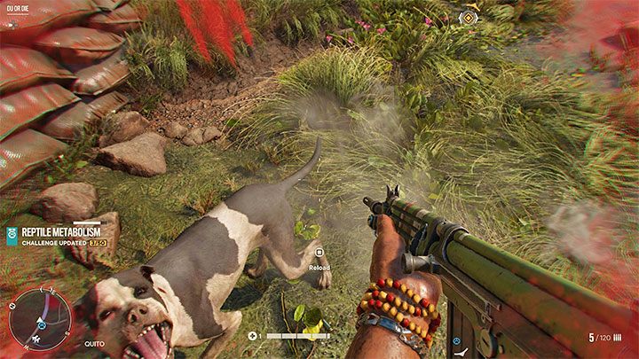 Unfortunately, you'll often encounter hostile dogs who'll try to maul you to death - Far Cry 6: Killing dogs - is it mandatory? - FAQ - Far Cry 6 Guide