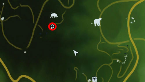 4 - The Southern Island - North-western part - Cult Objects - Far Cry 3 - Game Guide and Walkthrough