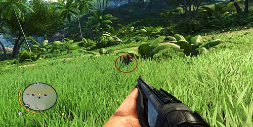 I found the actual dog on the slope to the left - Dog Soldier - Plot missions - Far Cry 3 - Game Guide and Walkthrough