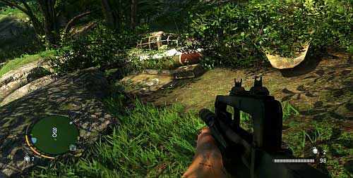A bit to the north of the small pond, there is a plane wreck - The Northern Island - Southern part - Cult Objects - Far Cry 3 - Game Guide and Walkthrough