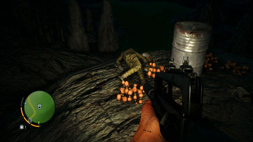 The corpse, and the letter, is at the end of the tunnel - The Northern Island - North-eastern part - Letters of the Lost - Far Cry 3 - Game Guide and Walkthrough