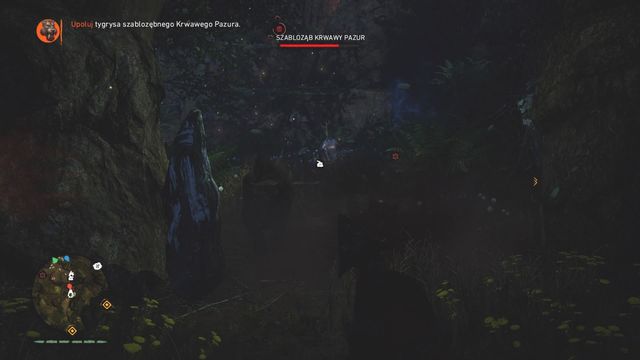 Make the tiger run into traps chasing Takkar. - The Bloodfang Sabretooth - Beast Master Hunts - Far Cry Primal - Game Guide and Walkthrough