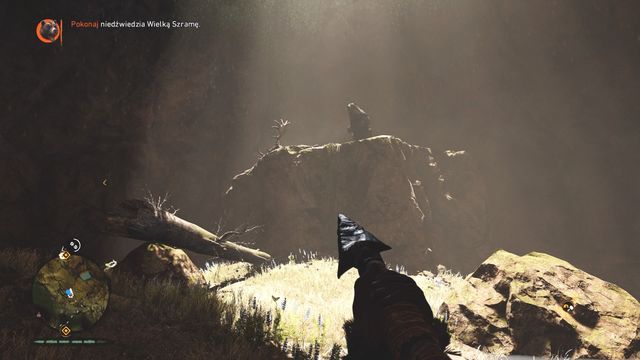 Dont let the bear relax, attack as soon as you enter. - The Great Scar Bear - Beast Master Hunts - Far Cry Primal - Game Guide and Walkthrough