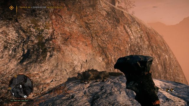 Near the wolfs carcass - Wenja bracelets - Northern Oros - Far Cry Primal - Game Guide and Walkthrough
