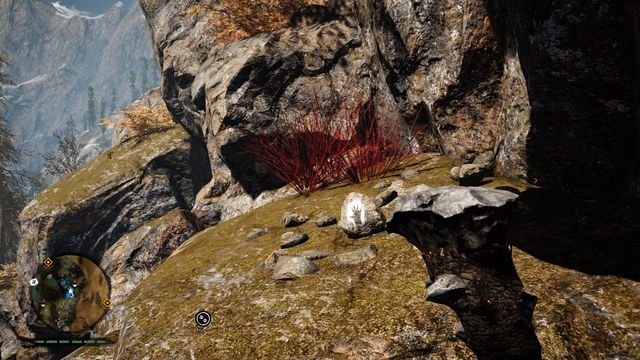 On a ledge, halfway to the top - Daysha Hands 11-20 - Central Oros - Far Cry Primal - Game Guide and Walkthrough