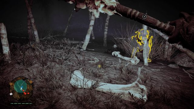 The place is on the path in the minimap - Wenja bracelets - Central Oros - Far Cry Primal - Game Guide and Walkthrough