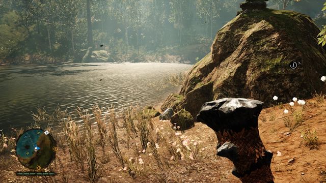Under a rock, by the lakeside - Daysha Hands - Southern Oros - Far Cry Primal - Game Guide and Walkthrough