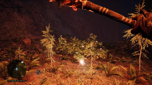 Under the bushes, near a tree - Daysha Hands - Southern Oros - Far Cry Primal - Game Guide and Walkthrough