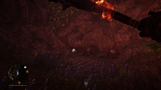 Get inside - Daysha Hands - Southern Oros - Far Cry Primal - Game Guide and Walkthrough