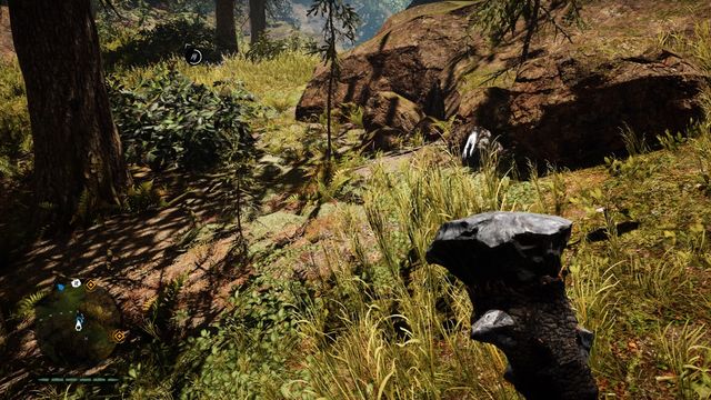 Under a rock, near a tree - Daysha Hands - Southern Oros - Far Cry Primal - Game Guide and Walkthrough