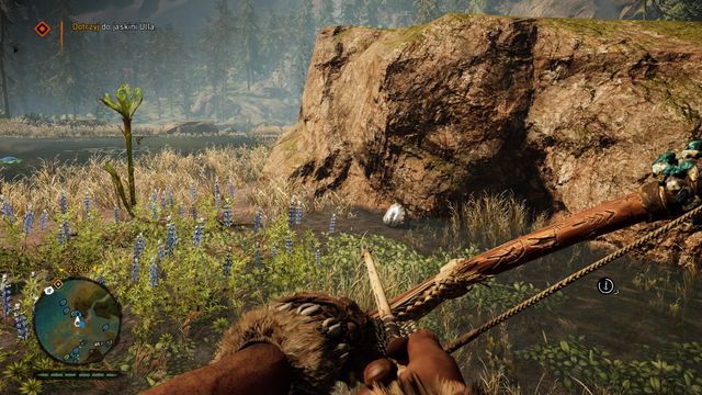 By a large rock, right next to the path - Daysha Hands - Southern Oros - Far Cry Primal - Game Guide and Walkthrough