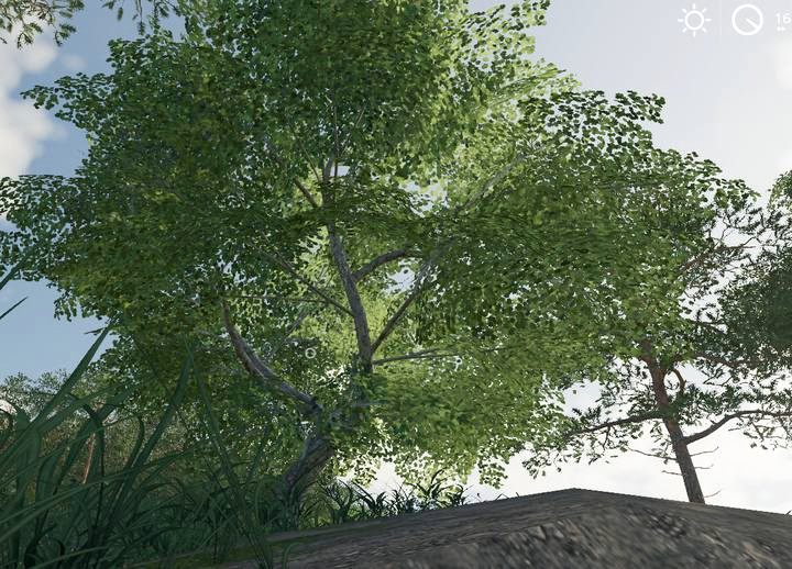 Irregular deciduous trees cannot be harvested in an automated way. - Farming Simulator 19: Wood harvesting - Wood - Farming Simulator 19 Guide and Tips