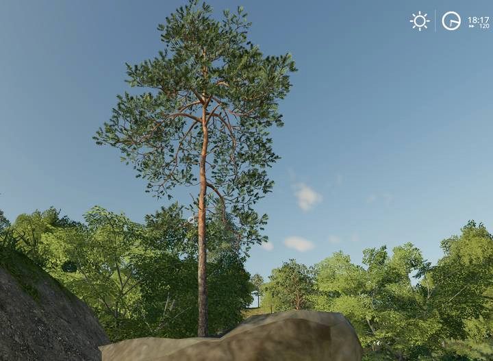 Straight and high trees do not have a lot of branches - youll receive straight bales that are easy to load. - Farming Simulator 19: Wood harvesting - Wood - Farming Simulator 19 Guide and Tips