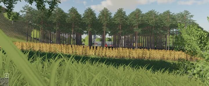 Private forest - because why not? - Farming Simulator 19: Wood harvesting - Wood - Farming Simulator 19 Guide and Tips