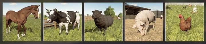 In Farming Simulator 19 you can breed 5 species of animals. - Farming Simulator 19: Farm animals, tips - Husbandry - Farming Simulator 19 Guide and Tips