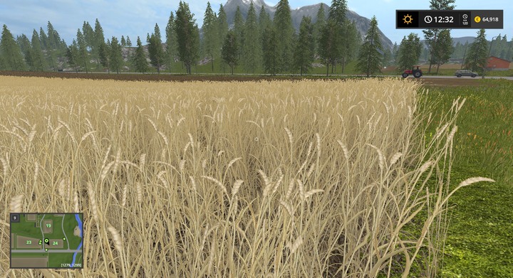 Wheat that is ready for harvest - Grains, Seeds, and Hay - Information on crops - Farming Simulator 17 Game Guide