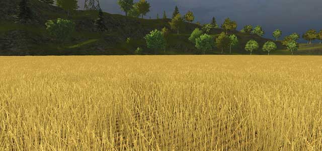 Grains | Agriculture - Farming Simulator 2013 Game Guide | gamepressure.com