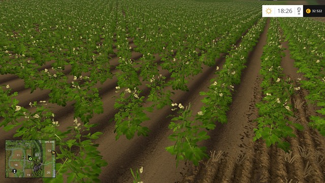 Young potatoes will soon ripen. - Sugar beets and potatoes - Plants - Farming Simulator 15 Game Guide