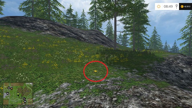 On a small glade near some rocks - Section D - coins 45 - 54 - Gold Coins - Farming Simulator 15 Game Guide
