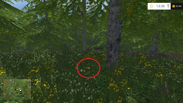 In the grass, under a tree - Section F - coins 70 - 89 - Gold Coins - Farming Simulator 15 Game Guide