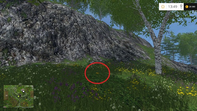 Under some rocks, also not far from the tree - Section F - coins 70 - 89 - Gold Coins - Farming Simulator 15 Game Guide