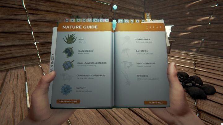 In the Survival Guide you can check all of the available foods. - The Forest: Food - Gameplay mechanics - The Forest Game Guide