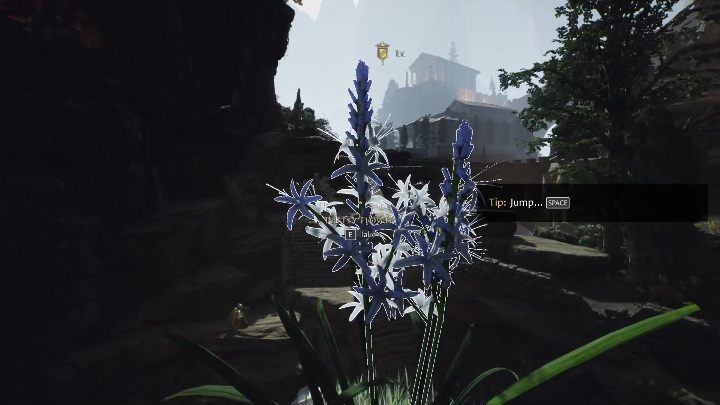 Get up there, hook your gear on the rope, and start sliding down - The forgotten city: Galerius and Equitia - how to start a romance? - FAQ - The Forgotten City Guide