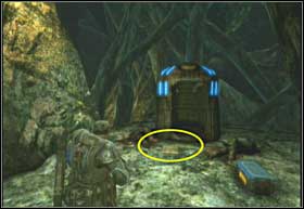 A little further you will see a wide corridor and Carmine and Dom will run into it - Denizens - Indigenous Creatures - Denizens - Gears of War 2 - Game Guide and Walkthrough