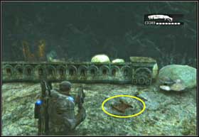 9 - Denizens - Indigenous Creatures - Denizens - Gears of War 2 - Game Guide and Walkthrough