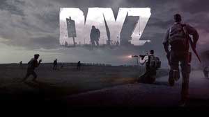 DayZ Game Guide