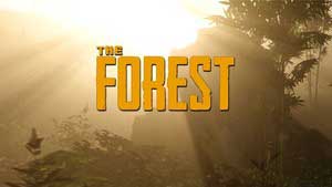 The Forest Game Guide